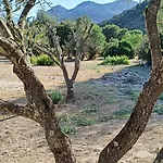 Les Jardins De Foata Hébergement de vacances *