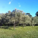 Les Jardins De Foata Barbaggio