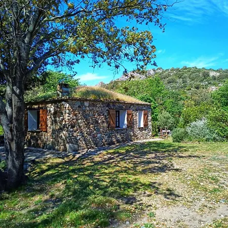 Les Jardins De Foata Hébergement de vacances Barbaggio