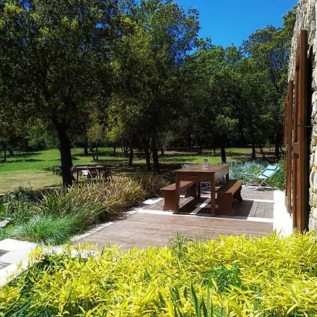 Les Jardins De Foata Semesterbostad Barbaggio