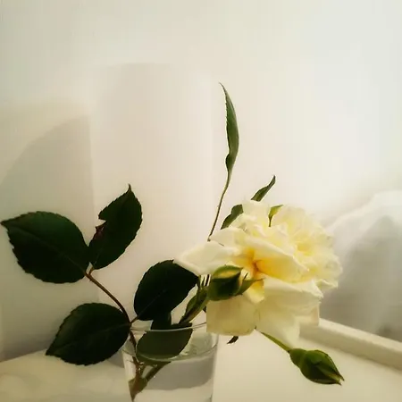 Les Jardins De Foata 度假居