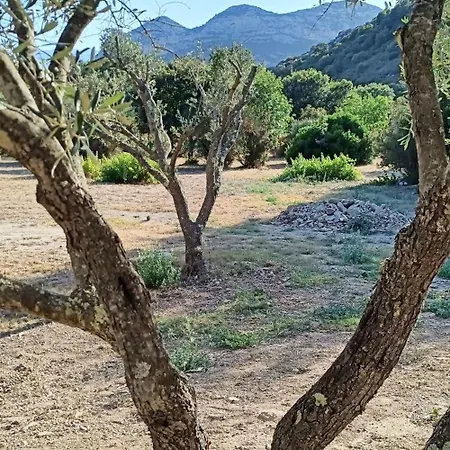 Les Jardins De Foata Semesterbostad *