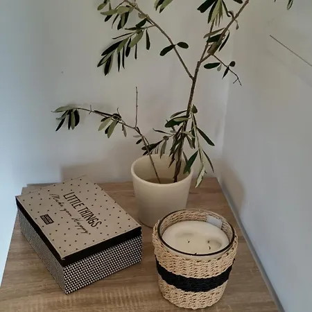 Les Jardins De Foata 度假居 Barbaggio