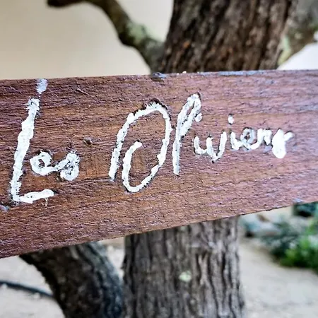 Les Jardins De Foata Barbaggio