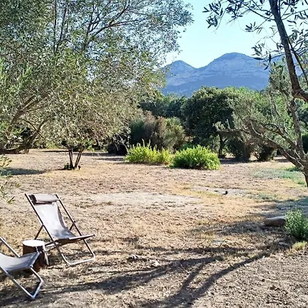 Les Jardins De Foata Hébergement de vacances Barbaggio