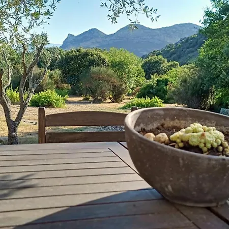 Les Jardins De Foata Barbaggio