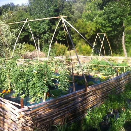 Les Jardins De Foata * Barbaggio