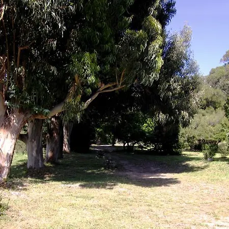 Les Jardins De Foata Barbaggio