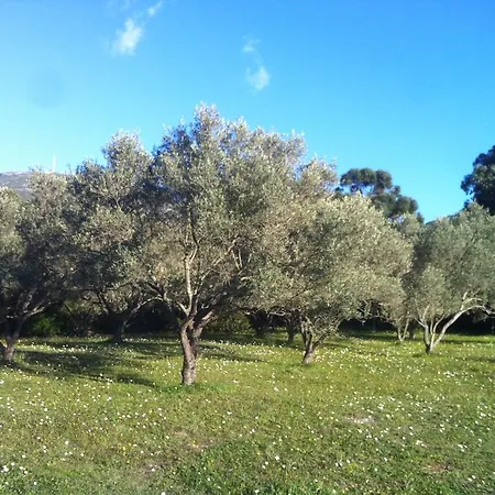 Les Jardins De Foata Barbaggio
