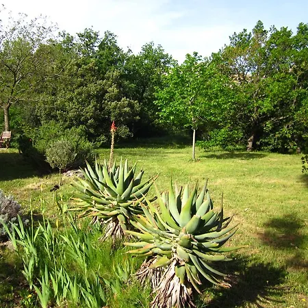 Hébergement de vacances Les Jardins De Foata