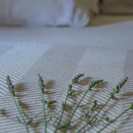 Les Jardins De Foata Hébergement de vacances *