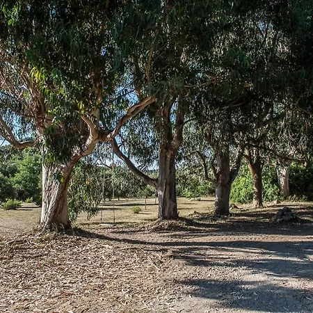 度假居 Les Jardins De Foata Barbaggio