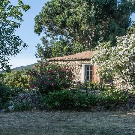 Les Jardins De Foata Hébergement de vacances Barbaggio