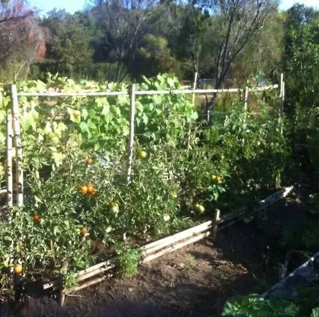 Les Jardins De Foata * Barbaggio