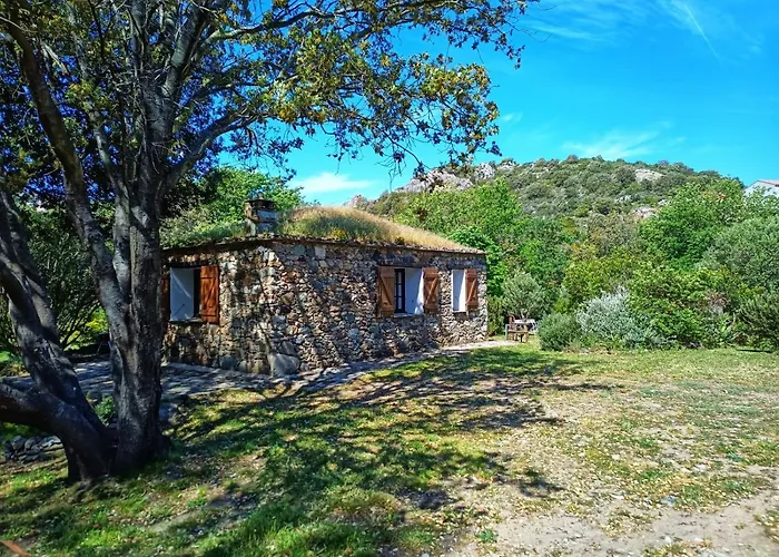 Les Jardins De Foata Feriehus Barbaggio