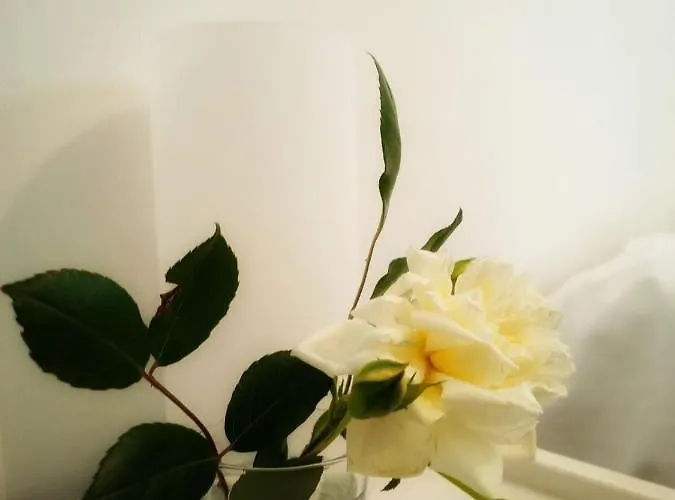 Les Jardins De Foata Hébergement de vacances