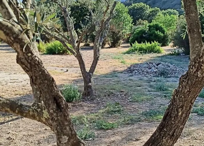 Les Jardins De Foata Hébergement de vacances *