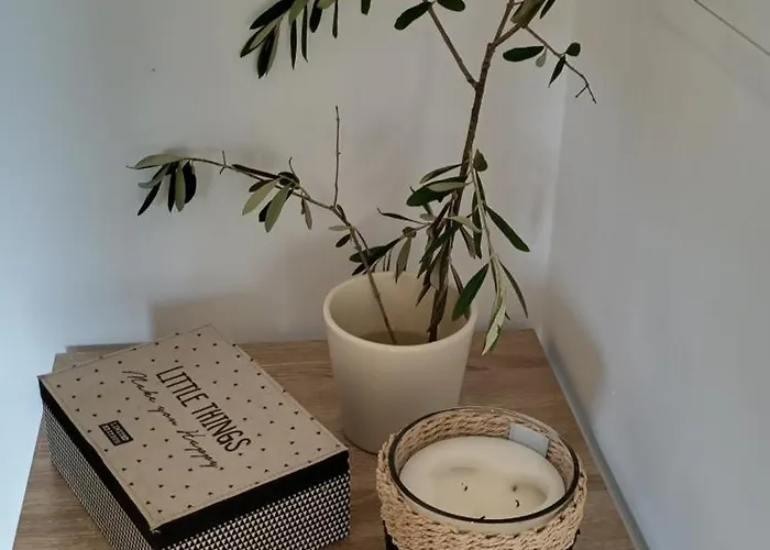 Les Jardins De Foata Hébergement de vacances Barbaggio