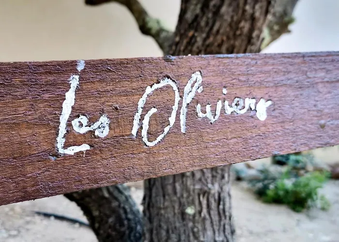 Les Jardins De Foata Barbaggio