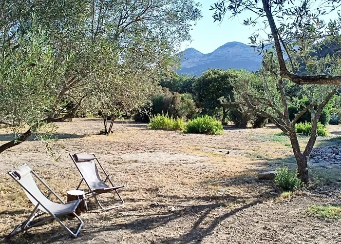 Les Jardins De Foata Hébergement de vacances Barbaggio