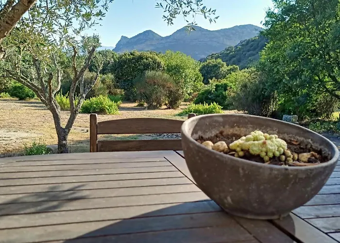 Les Jardins De Foata Barbaggio