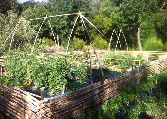 Les Jardins De Foata * Barbaggio