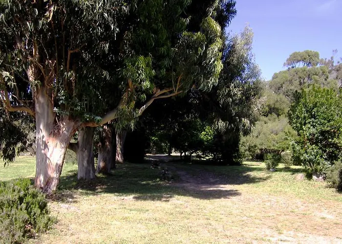 Les Jardins De Foata Barbaggio