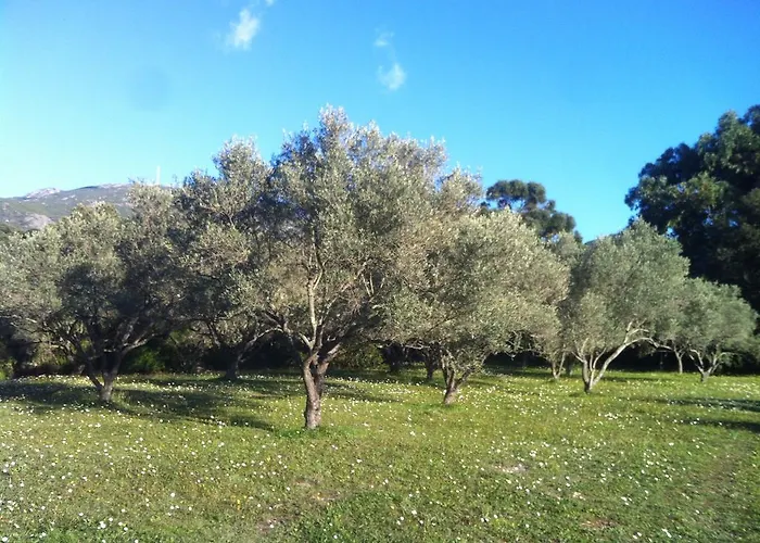 Les Jardins De Foata Barbaggio