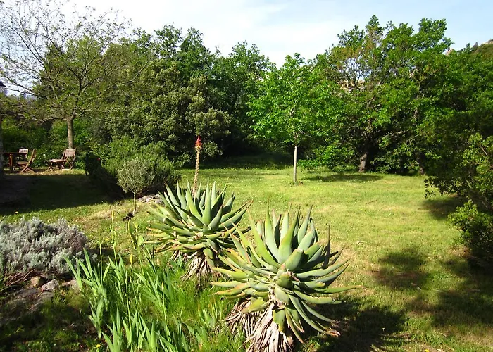 Hébergement de vacances Les Jardins De Foata