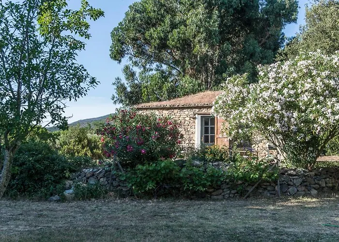 Les Jardins De Foata Feriehus Barbaggio