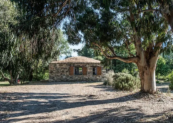 Hébergement de vacances Les Jardins De Foata Barbaggio