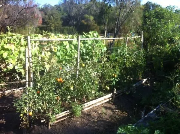 Les Jardins De Foata * Barbaggio